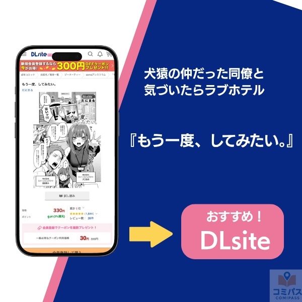 『もう一度、してみたい。』の基本情報