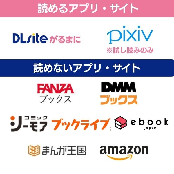 聖騎士の淫情 配信状況
