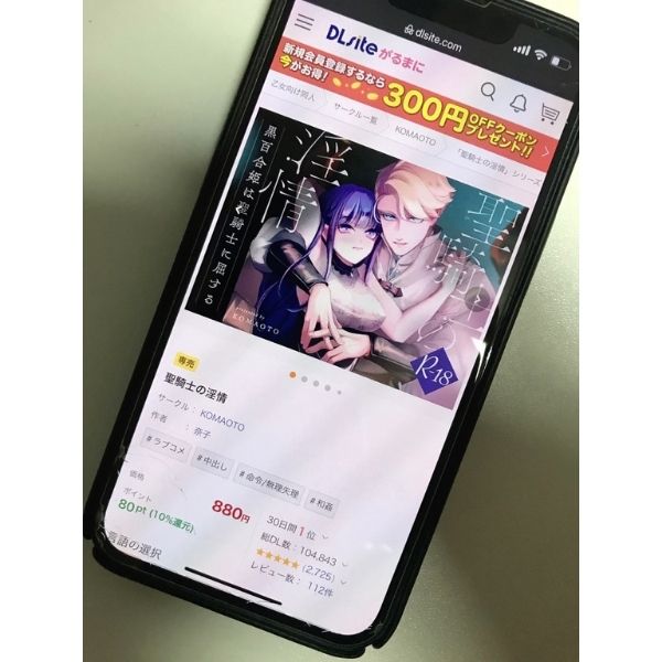 聖騎士の淫情 キャプチャ